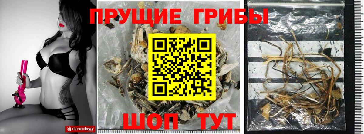 Заинск  Псилоцибиновые грибы прущие грибы  Вход с VPN  Псилоцибиновые грибы Magic Shrooms 